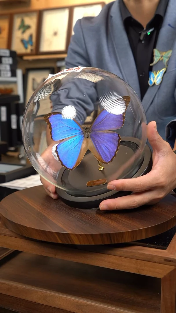 晶闪蝶大号玻璃球