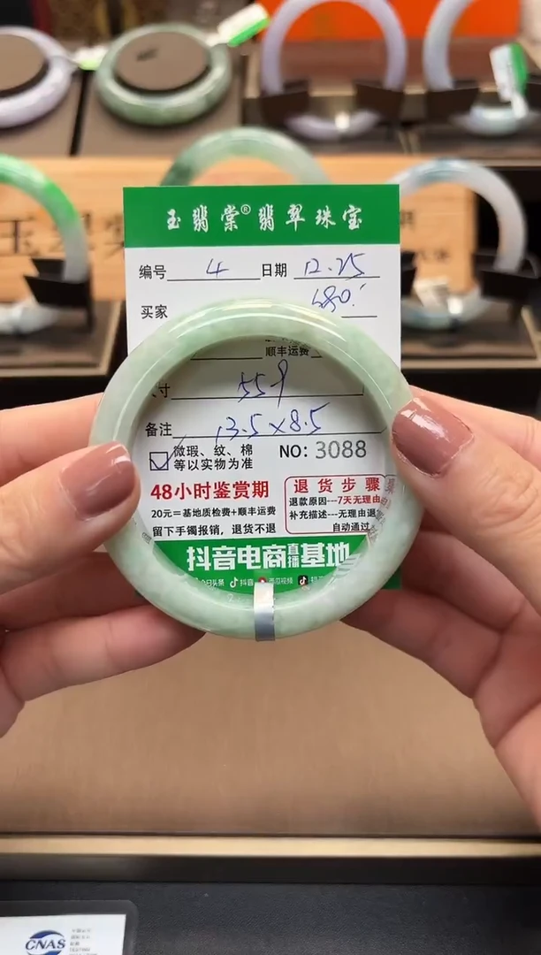 未镶嵌手镯翡翠翡翠4