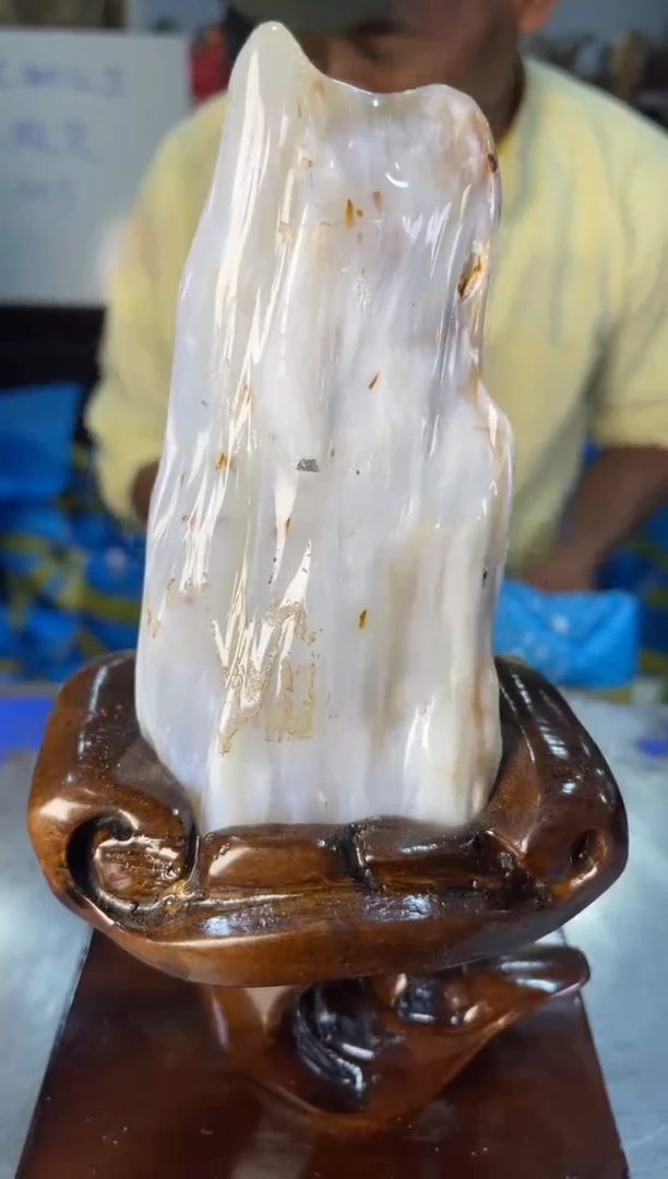 未镶嵌摆件硅化玉41