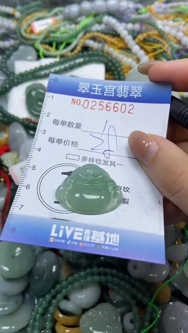 颈饰未镶嵌翡翠闪购C0256602