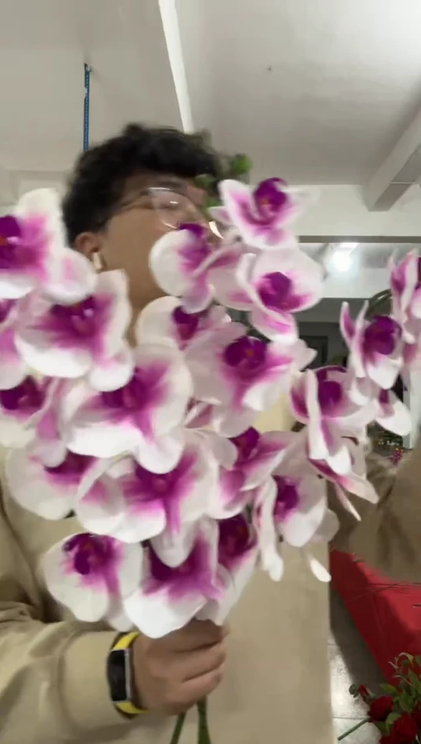 【闪购商品】仿真绿植七头蝴蝶兰白紫色3束