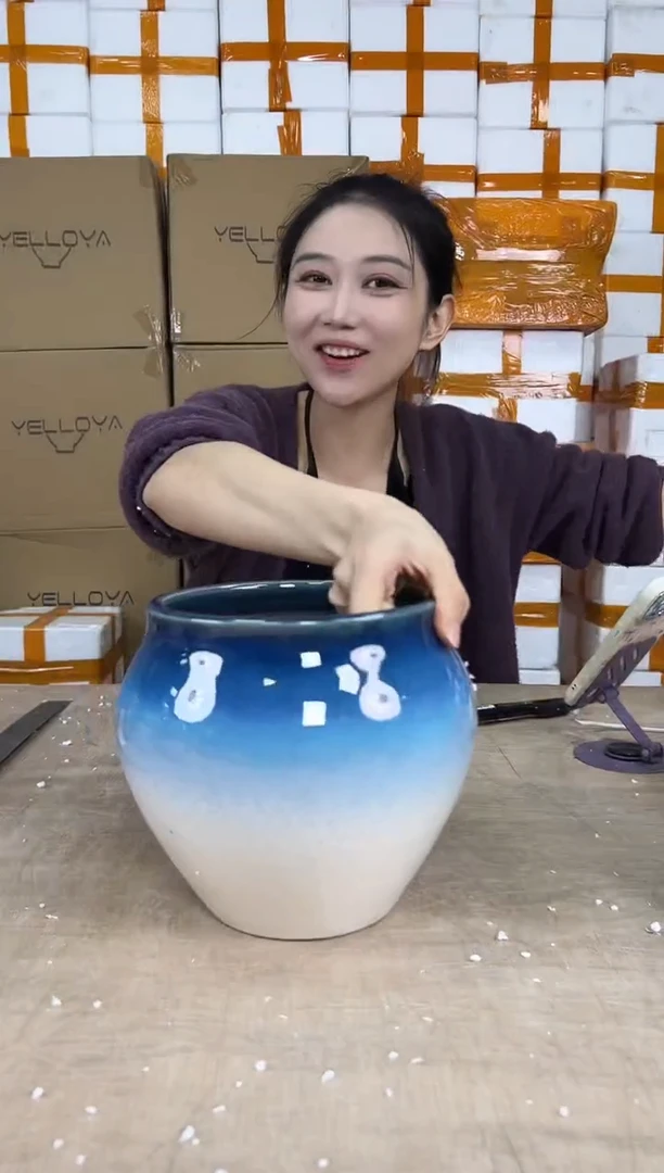 花盆花盆中号12.31--2