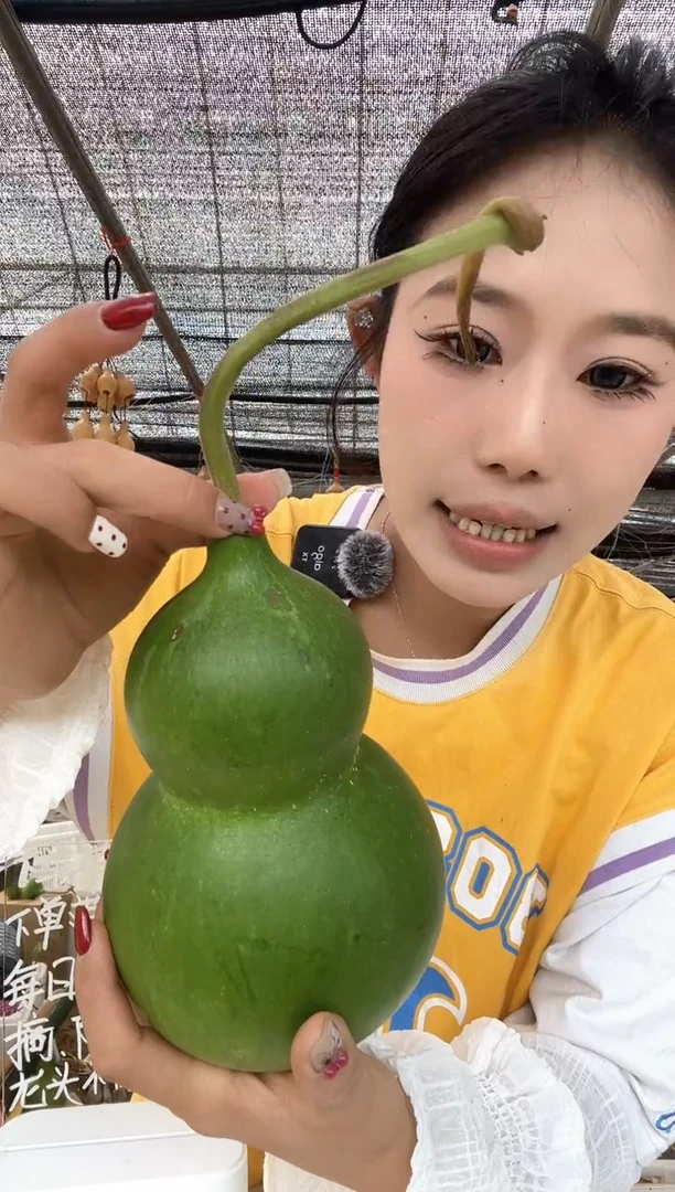 831天然葫芦摆件 一物一拍龙头不保售后微瑕疵