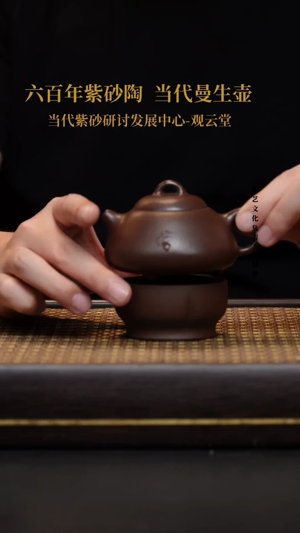 茶壶紫砂紫砂茶壶  黑星土  问瓢