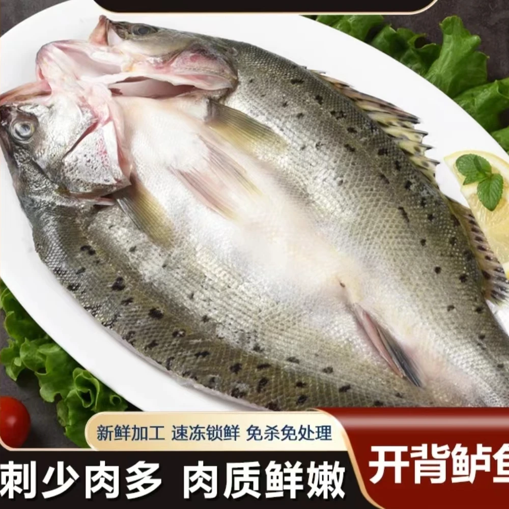 开背鲈鱼 新鲜鲈鱼三去 去鳞去鳃去内脏 500克/条