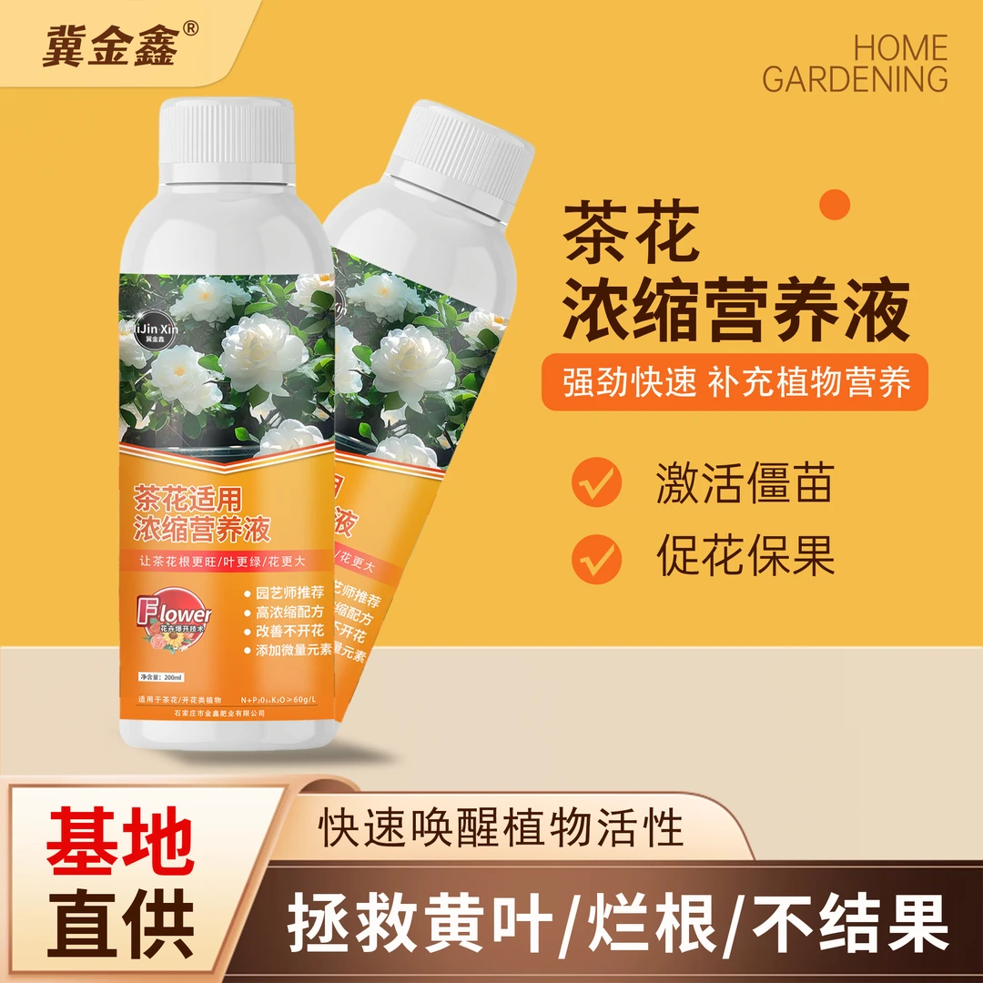 冀金鑫茶花营养液催花促花土壤调酸黄叶掉叶干尖花苞打不开掉花苞