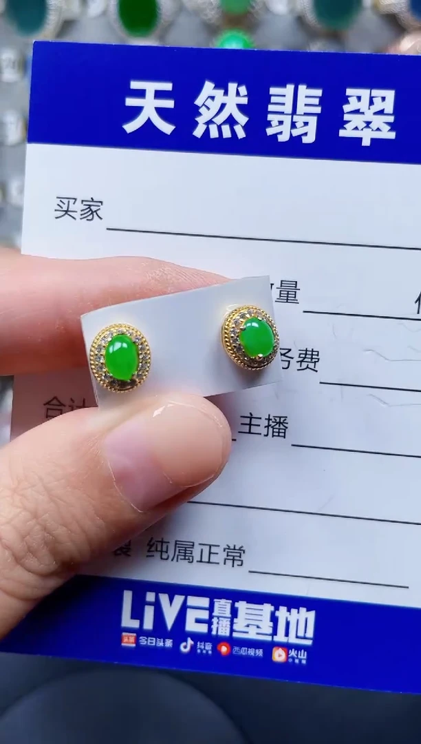 银S925镶嵌翡翠耳饰113