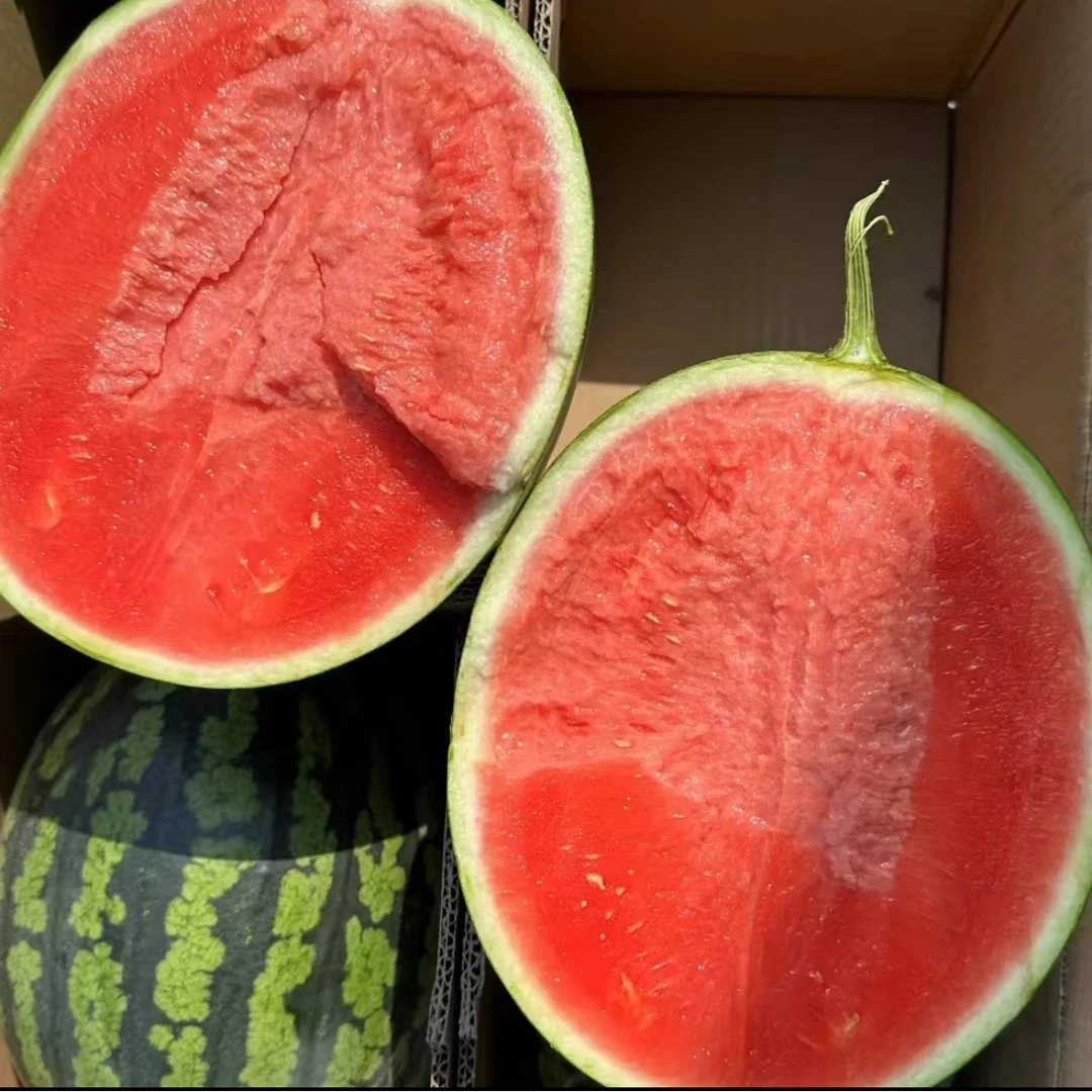 【顺丰包邮】东台西瓜甘美4K脆甜爆汁 皮薄肉厚 当季限定新鲜水果