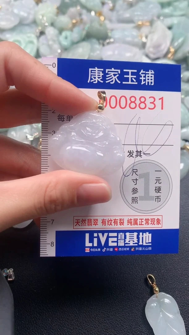 颈饰未镶嵌翡翠8831