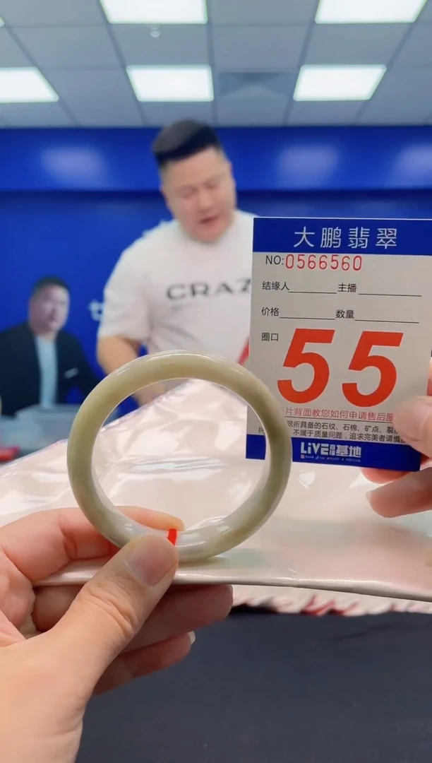 未镶嵌手镯翡翠AAAAAAAAA