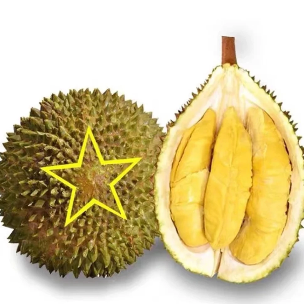 【味好果园】泰国新鲜果猫山王，核大苦后回甘，出肉偏低重量2-14斤生鲜运输中会输水5-10%猫山王泰国