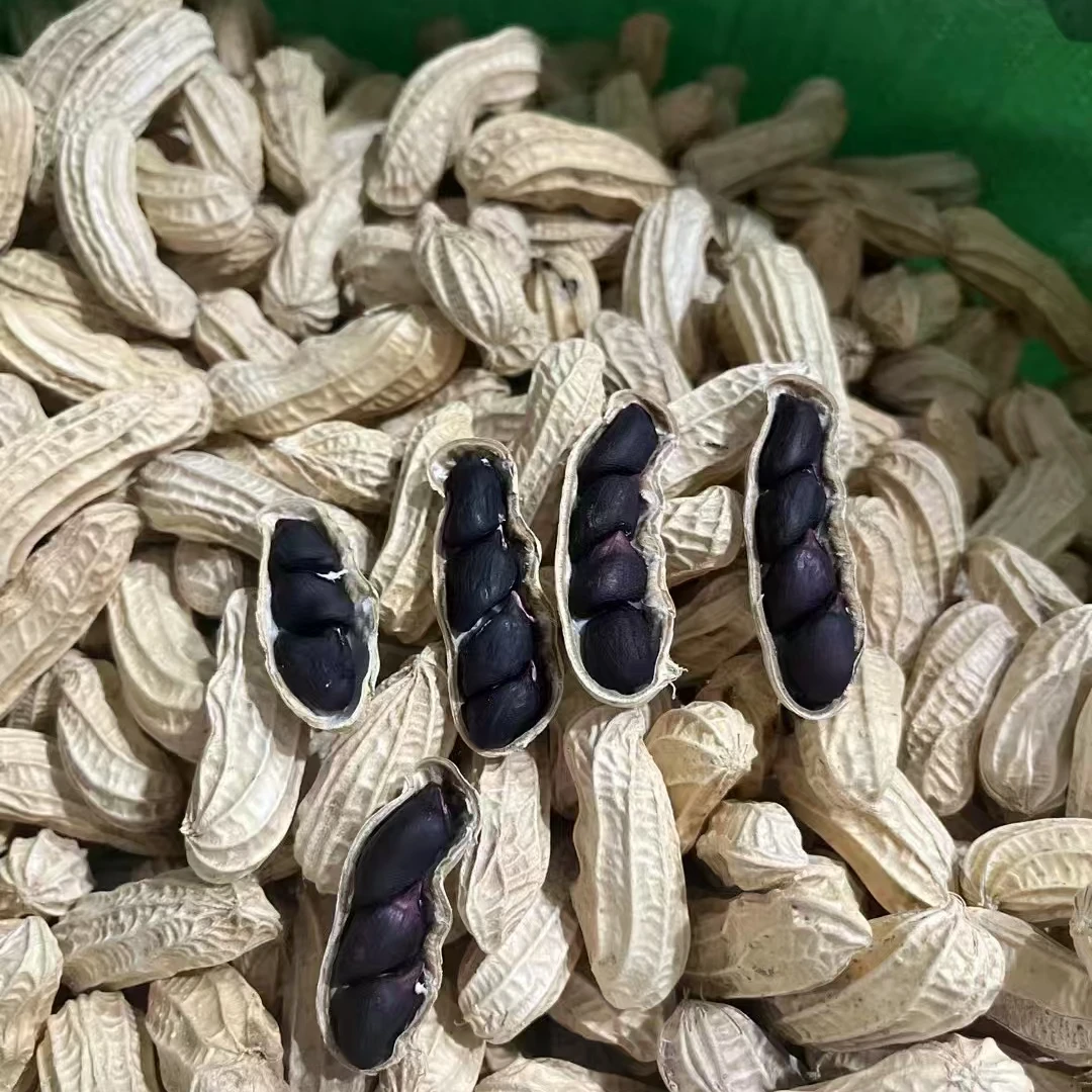 【春妹山货】现收山货黑花生