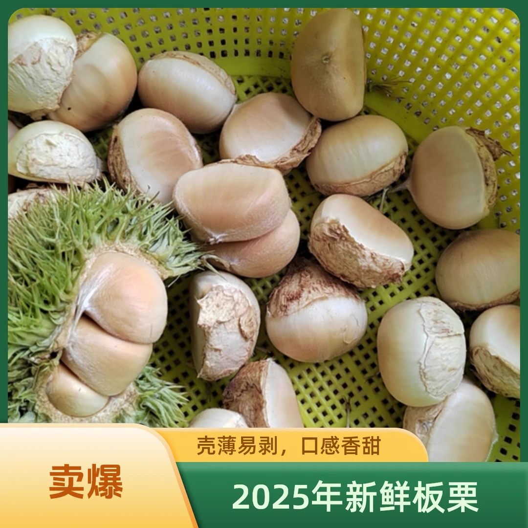 【去过刺球 白皮板栗】生板栗固始2025年白皮新鲜头茬嫩板栗去壳