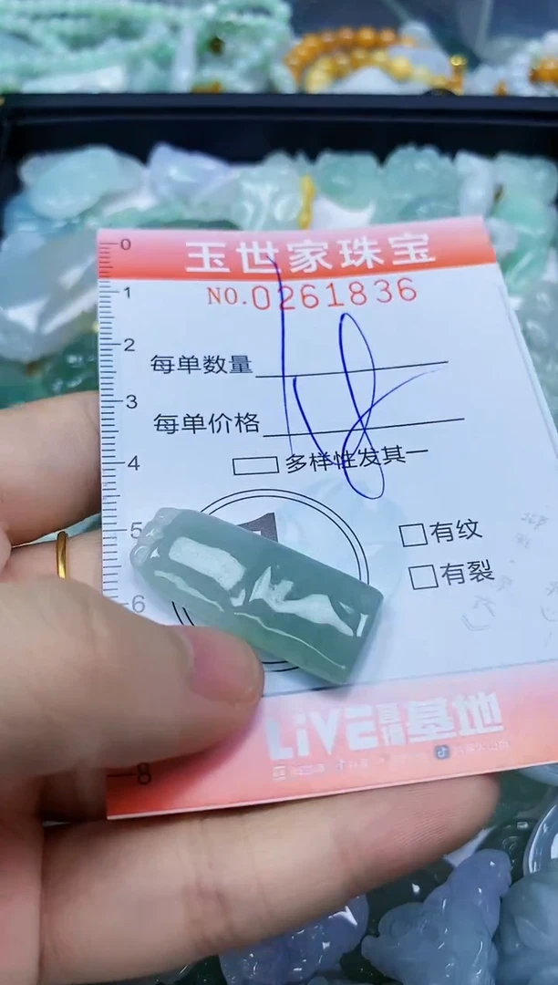 翡翠未镶嵌颈饰闪购0261836