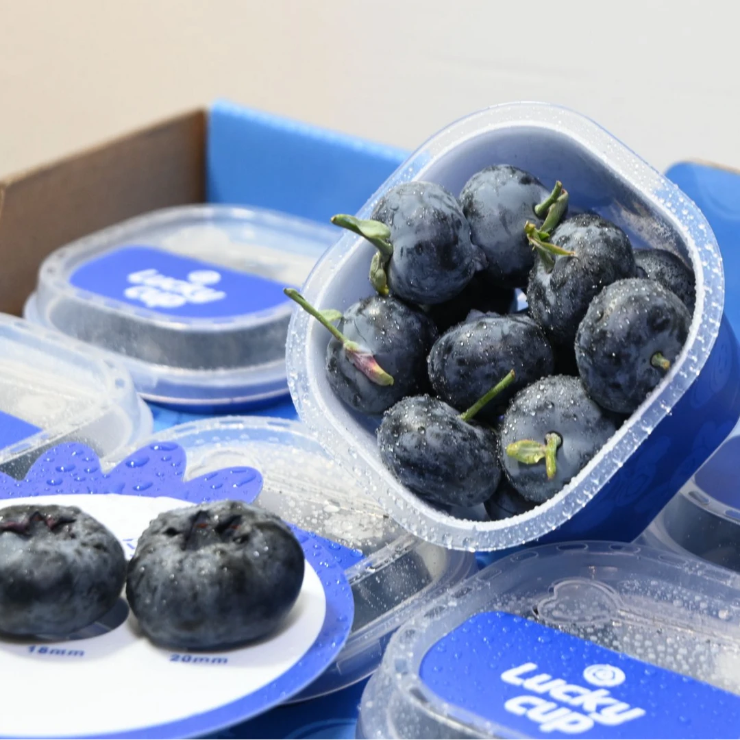 【京东空运】云南高原花香蓝莓新鲜大果基地现采现发脆甜多汁60g/盒