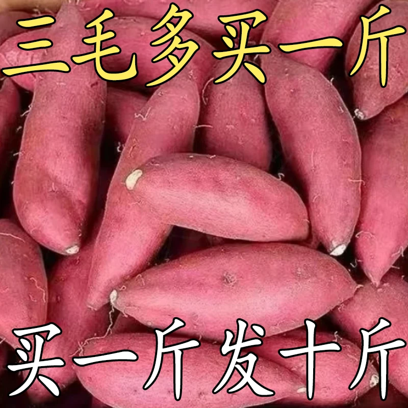 【2025新红薯】沙地蜜薯1-9斤黄心超甜红薯地瓜红苕龙九番薯蔬菜