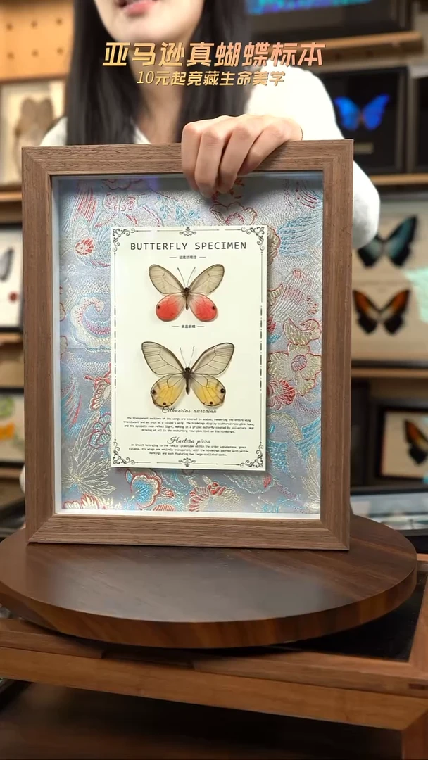 玫瑰绡眼蝶+黄晶眼蝶国风花蓝色布底