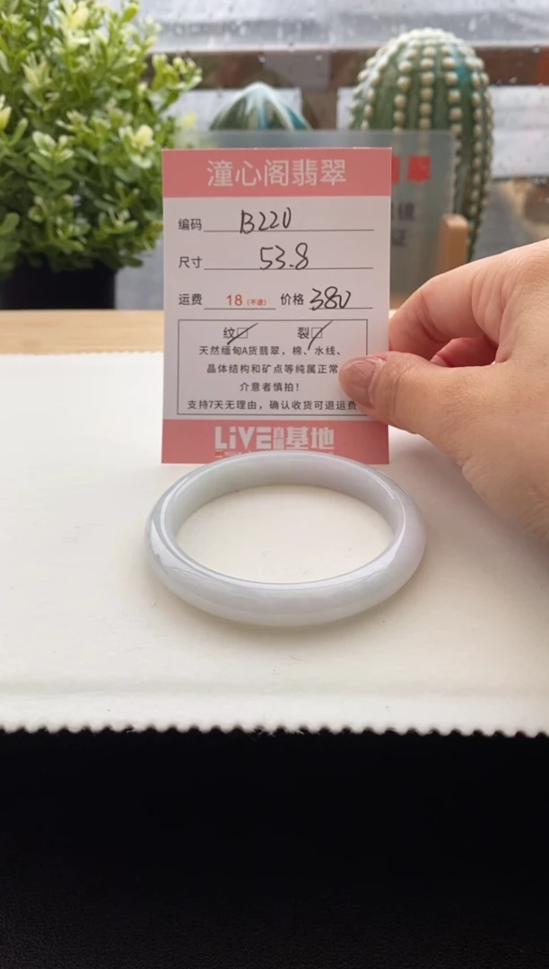 未镶嵌手镯翡翠54圈口 编码B220
