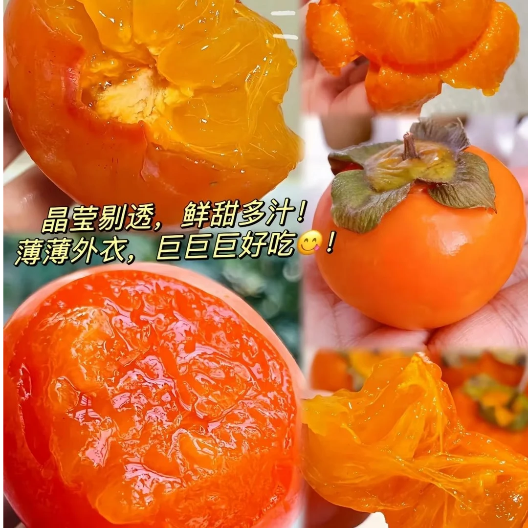 小火柿子 530克