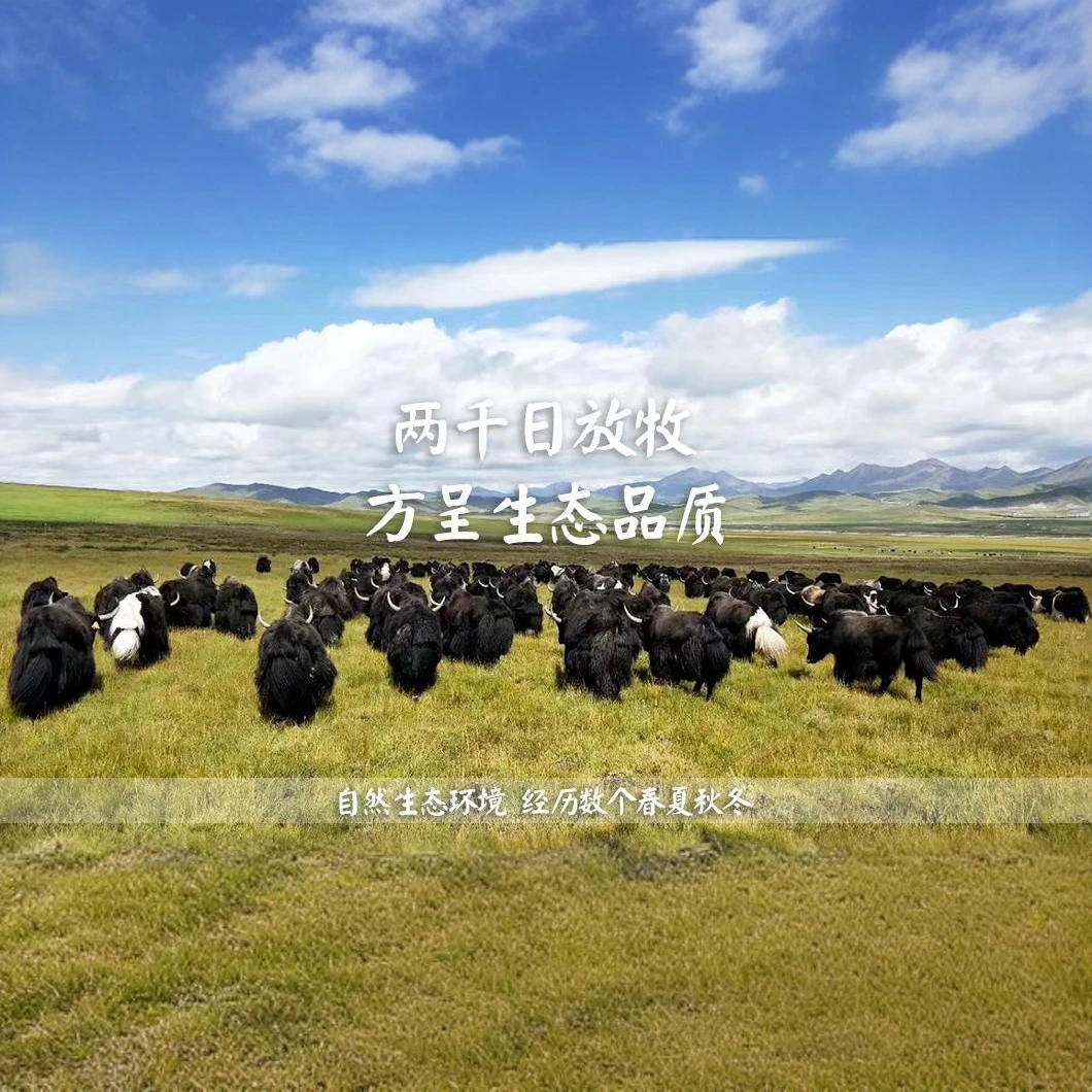 老郑牛羊肉 一物一拍 专用链接