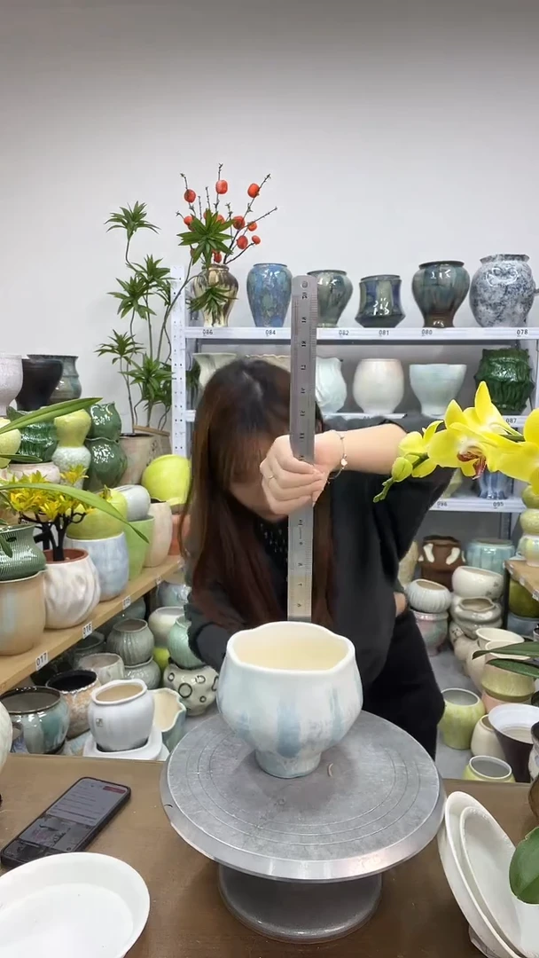 11.25陶瓷花盆直播链接高       13 口12