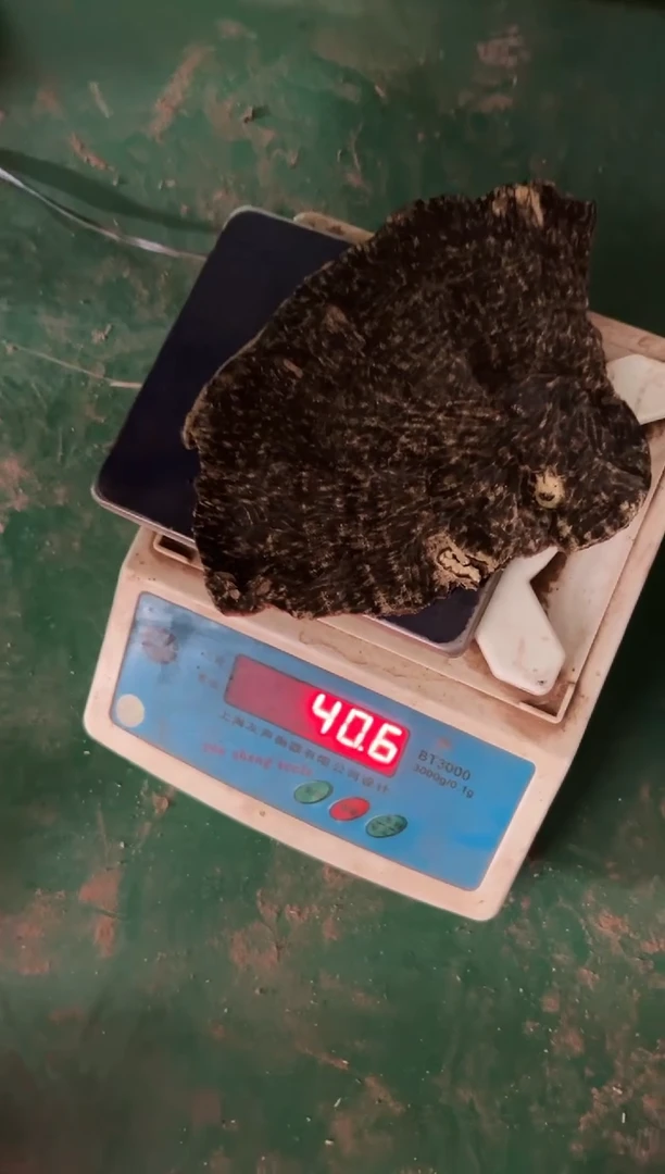 颐**檀海南版头40.6