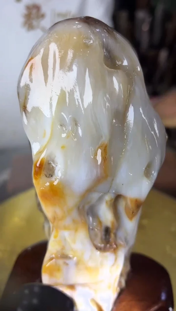 未镶嵌珠宝奇石硅化玉缅甸天然树化玉摆件