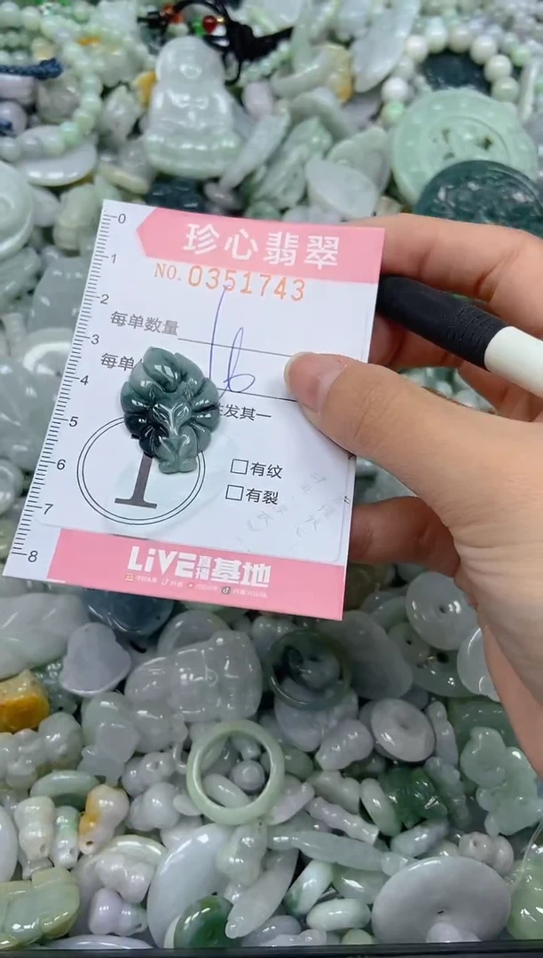 颈饰未镶嵌翡翠闪购0351743
