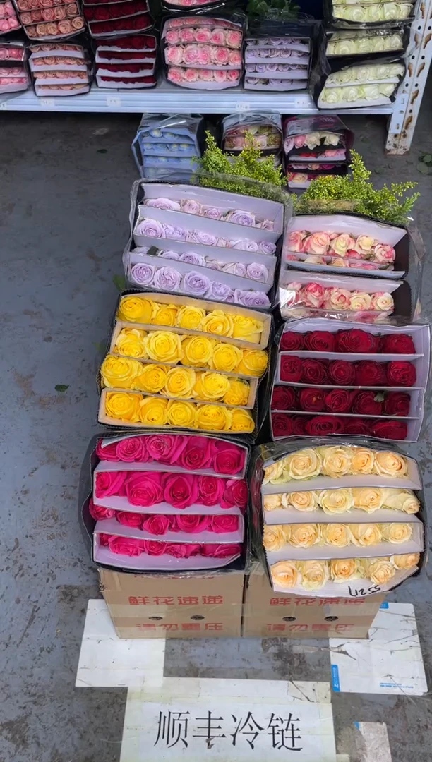 单头玫瑰60枝（任意3个品种）+黄莺