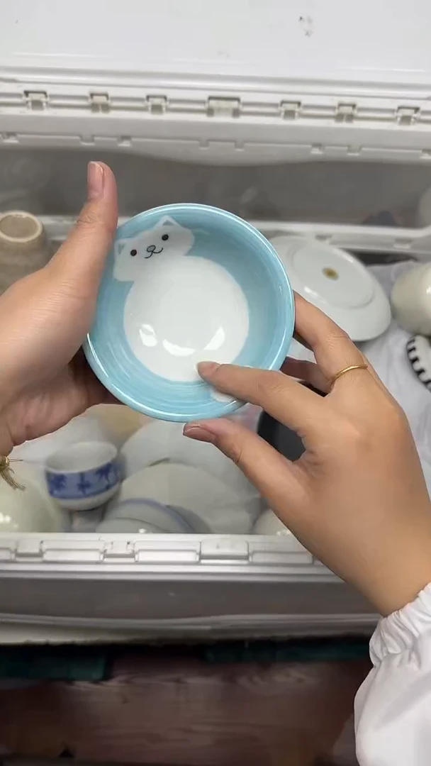 【闪购商品】550回流瓷器默认微瑕，18.8包邮