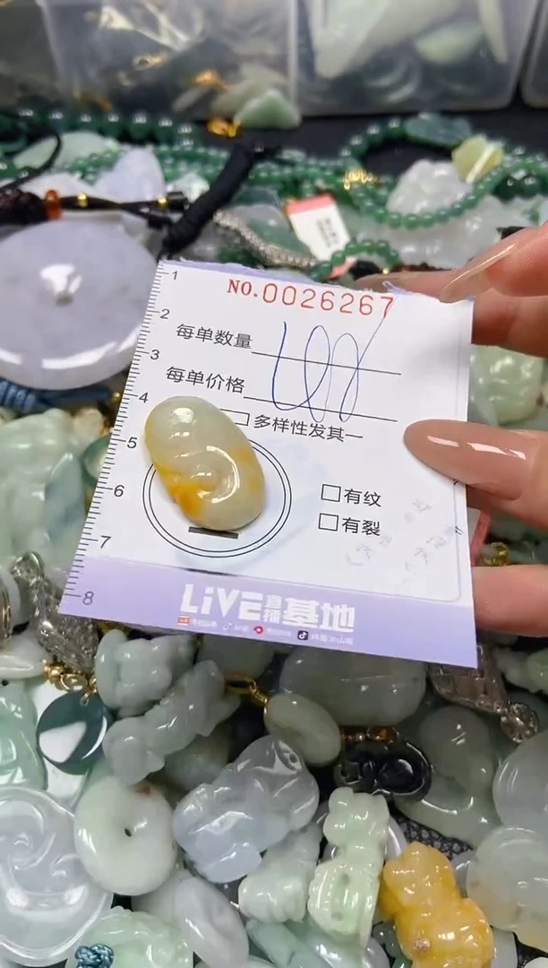 【闪购商品】翡翠颈饰未镶嵌闪购0026267