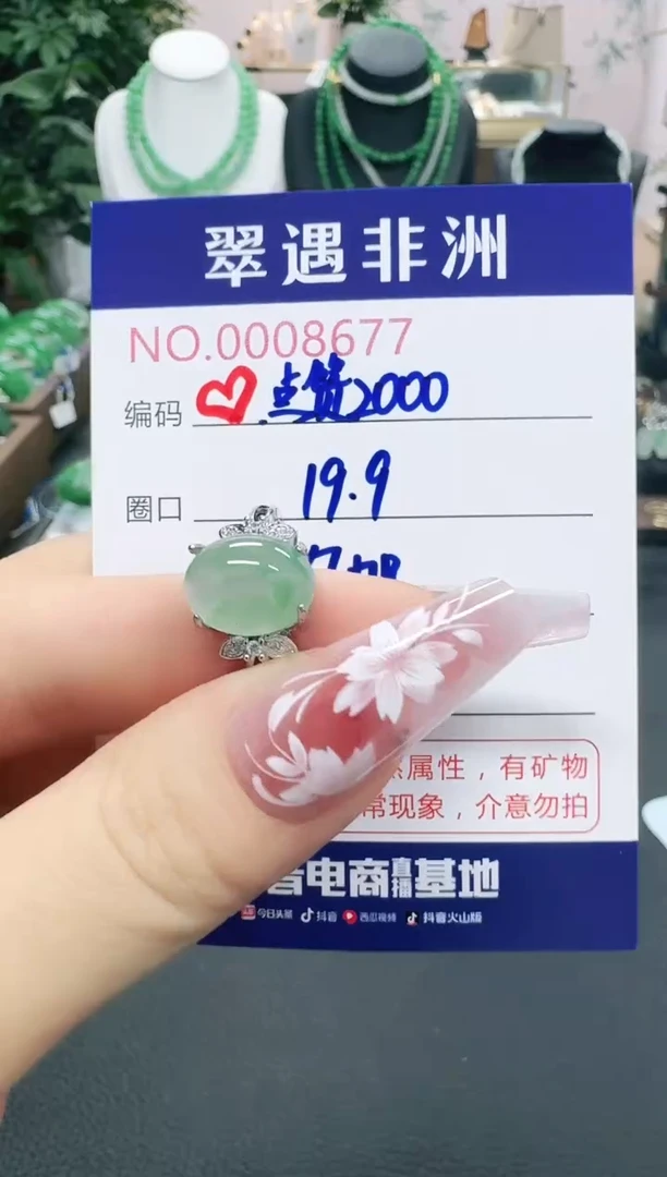 石英质玉（非洲翠）1未镶嵌冻****姐/8677