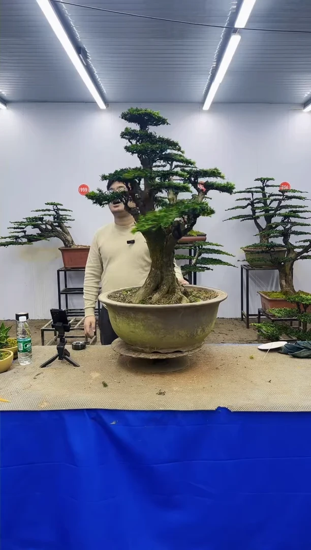 完全开放猛**江一物一拍，所见即所得