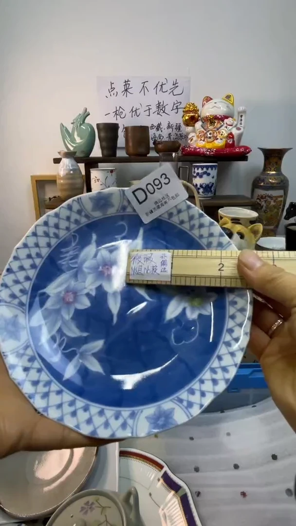 瓷片-D-        093