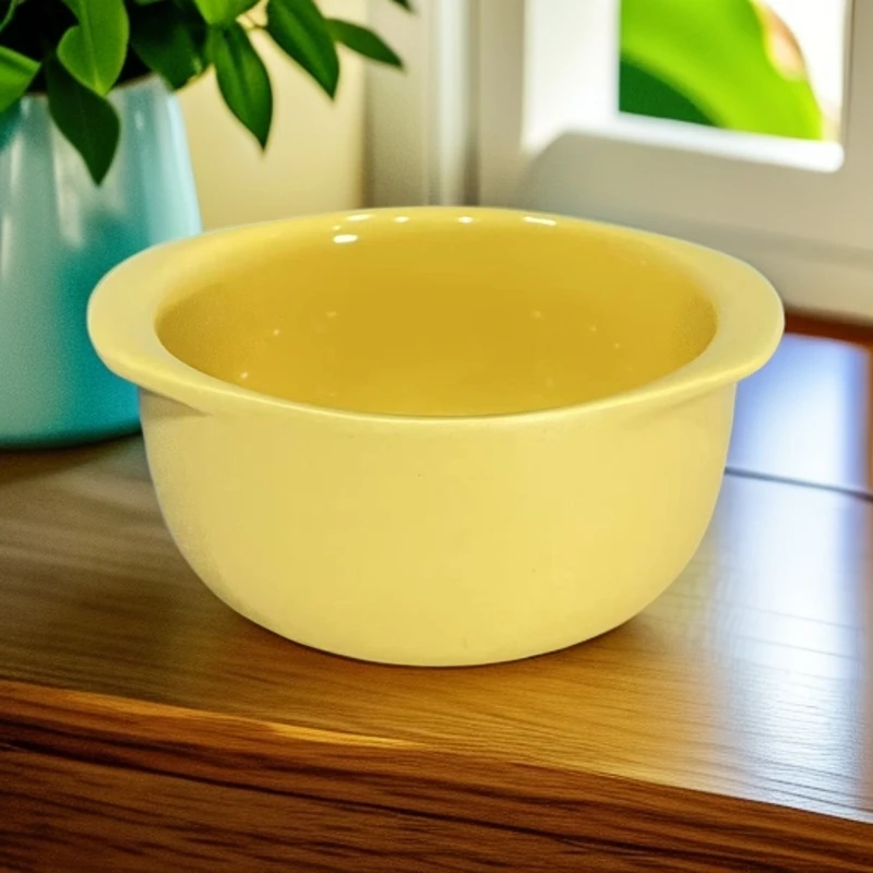 瓷釉釉下彩4.5英寸INS风沙拉碗耐热纯色防烫双耳甜品碗黄色