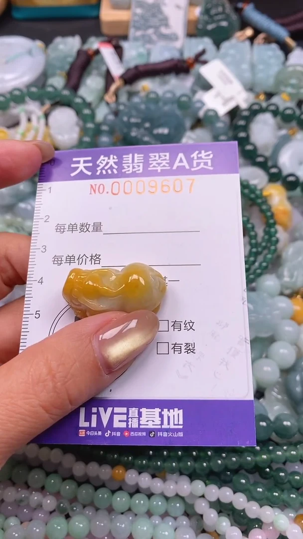 颈饰未镶嵌翡翠闪购0009607