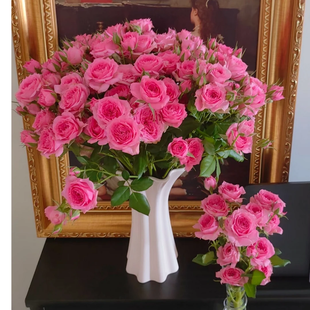 1【10枝 苏菲多头玫瑰】任意拍两单升级顺丰/京东 云南鲜花基地直发