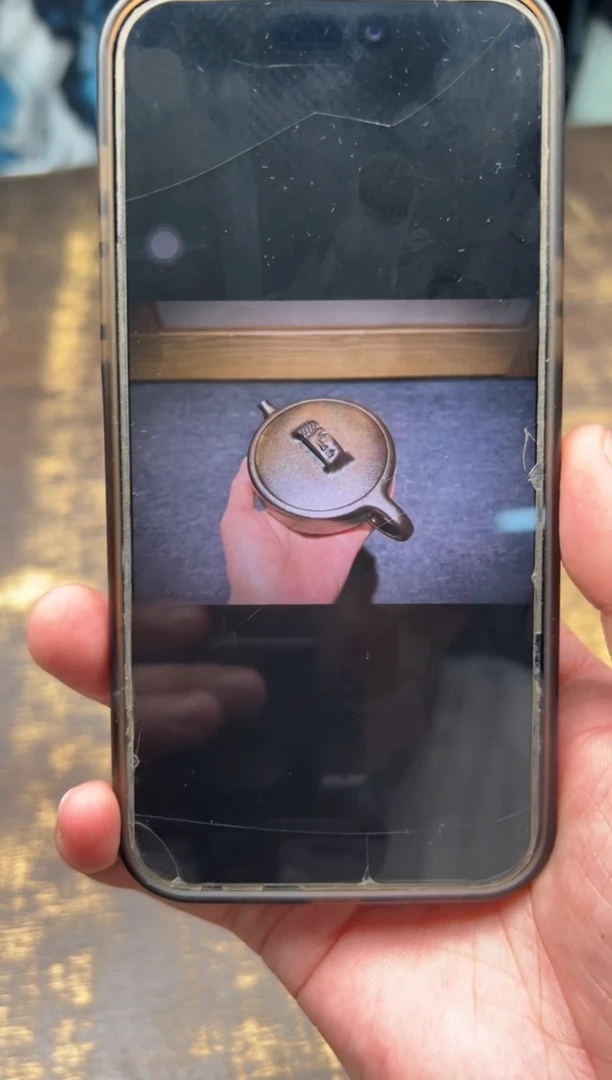 彩****弟（预售）汤宣武贝壳烧降坡泥悟禅壶