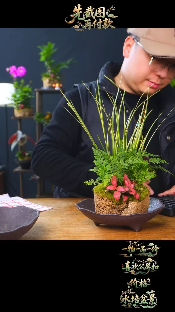 石云社一物一拍组合盆栽7