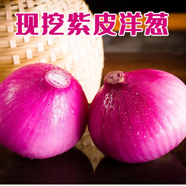 农场甄选优质新鲜洋葱紫圆葱4个（3-3.5斤）