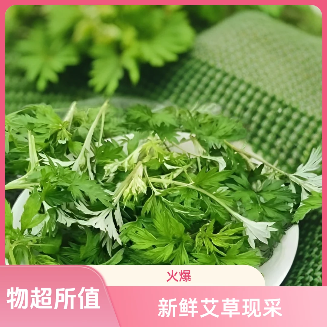 新鲜艾草现摘艾草青团农民山上现采艾草农村艾草