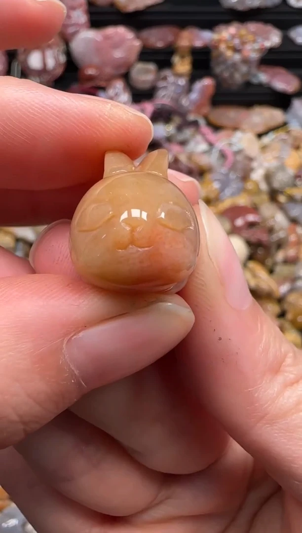 【闪购商品】硅化珊瑚（珊瑚玉）颈饰未镶嵌224