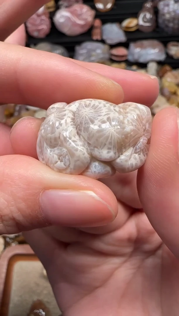 颈饰未镶嵌硅化珊瑚（珊瑚玉）665