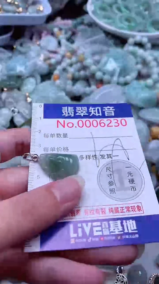 翡翠未镶嵌吊坠(不含链)6230