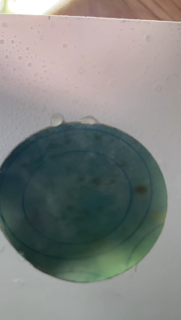 未镶嵌手镯定制翡翠Y****nSZDZ547/DZS