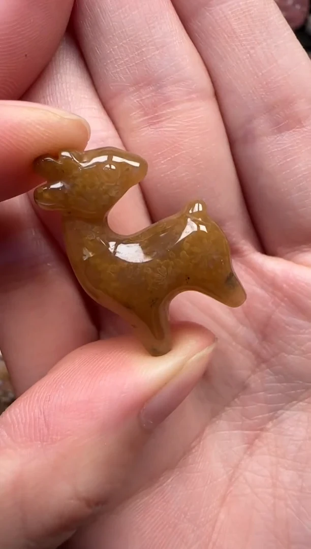 颈饰未镶嵌硅化珊瑚（珊瑚玉）530