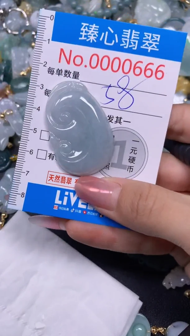 【闪购商品】翡翠颈饰未镶嵌含绳000660