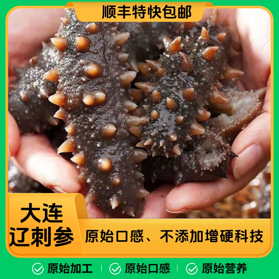 【元旦狂欢】大连源头工厂即食海参王4-8头/500g*1斤鲜蒸即食海参