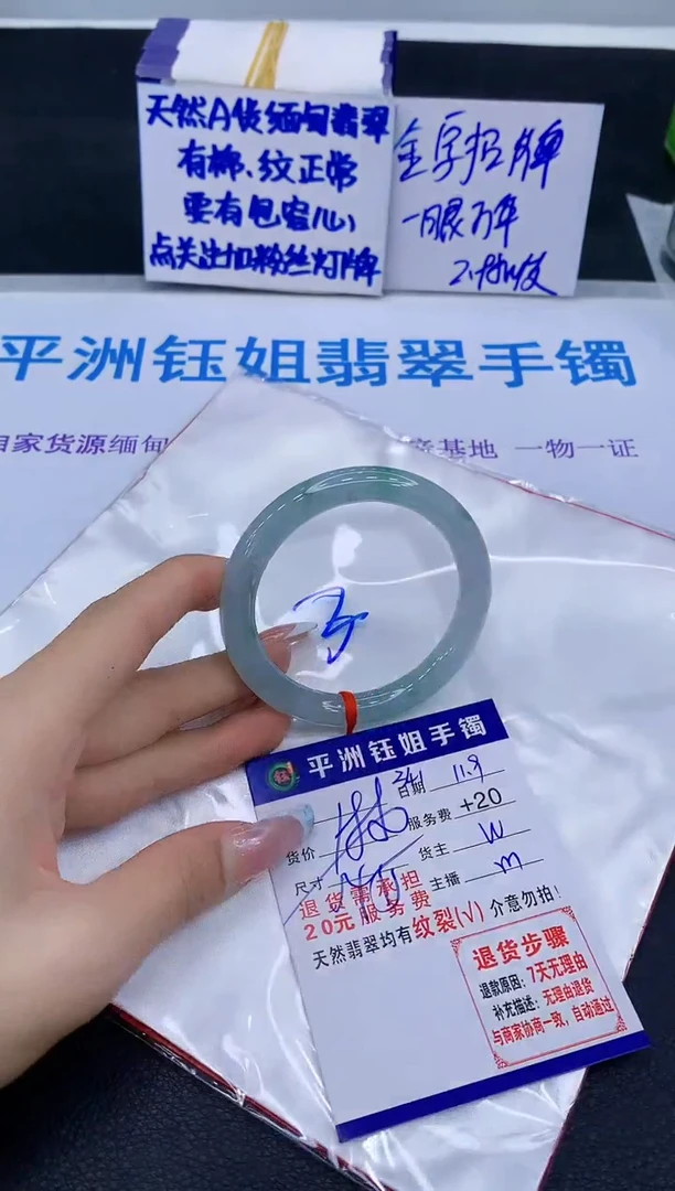 未镶嵌手镯翡翠1
