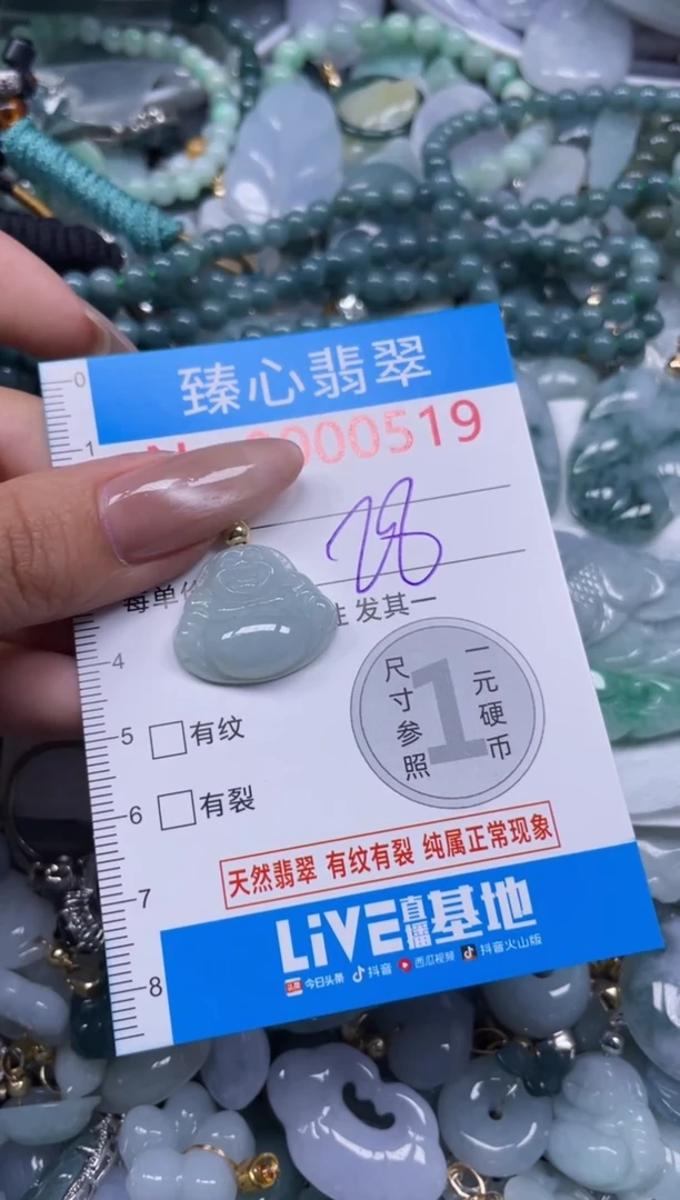 颈饰未镶嵌翡翠519